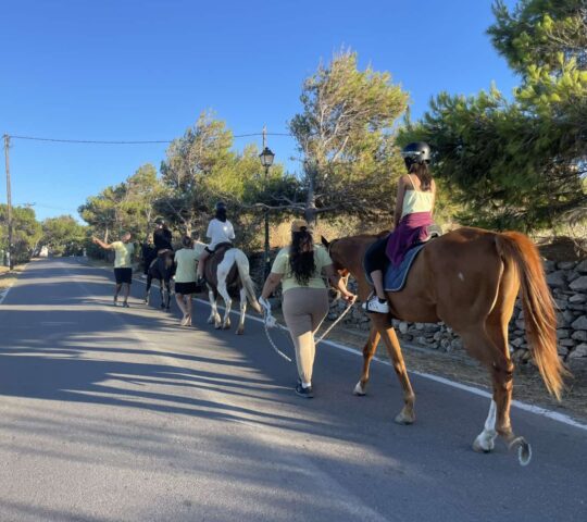 Θεραπευτική Ιππασία για Όλους Θεραπευτική Ιππασία για Όλους