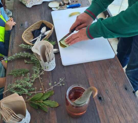 Φιλοξενία & Δημιουργία Φιλοξενία & Δημιουργία