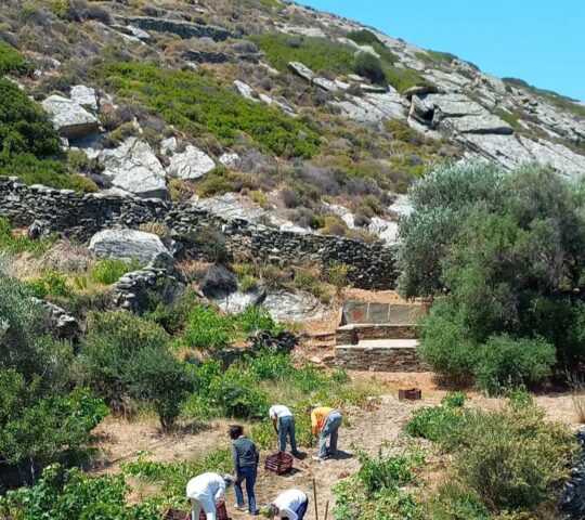 Αγροτουρισμός στο Παπούρι Αγροτουρισμός στο Παπούρι