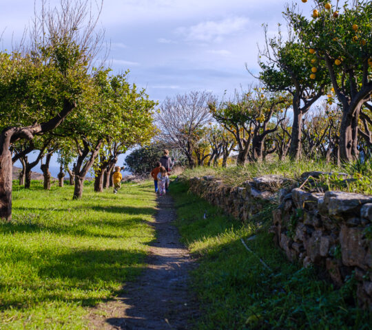Βιολογικό αγρόκτημα Βιολογικό αγρόκτημα